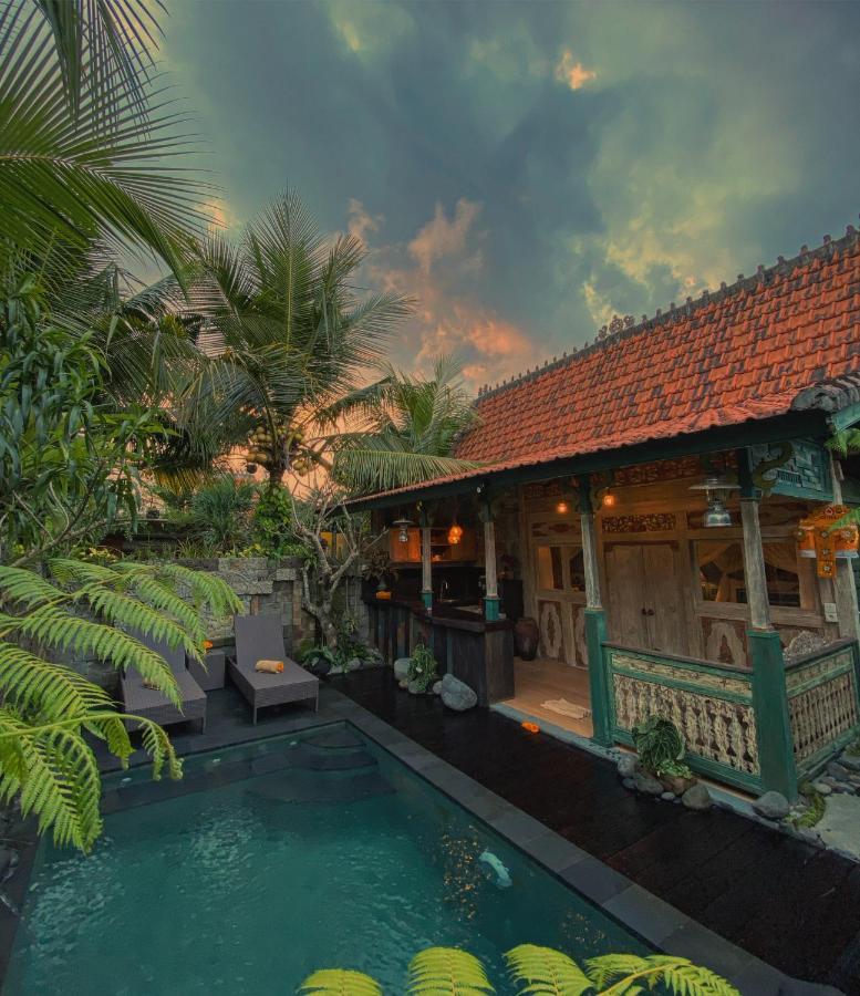Honeymoon Green Villa Ubud Esterno foto